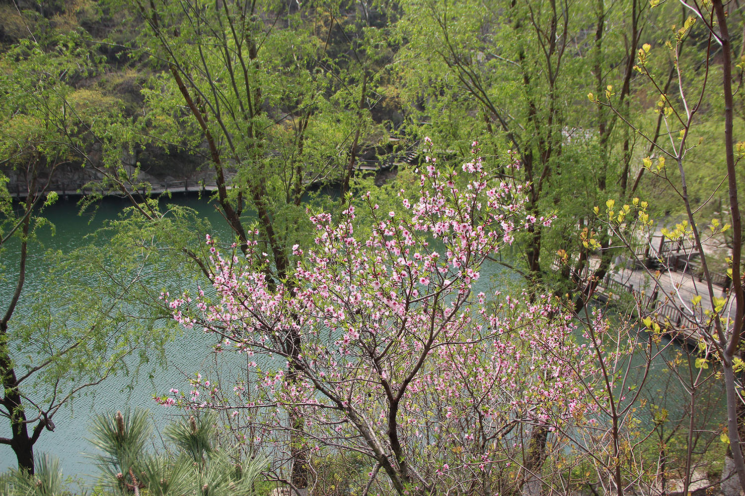 2021，濟(jì)南辰達(dá)試驗(yàn)機(jī)制造有限公司九如山一日游！